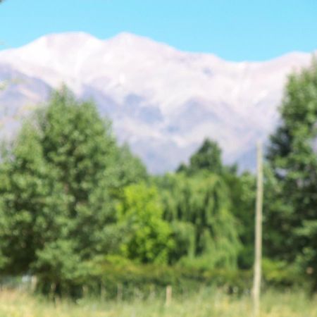 Cabana Uspallata, Mendoza. Para 4 Personas Villa Exteriör bild